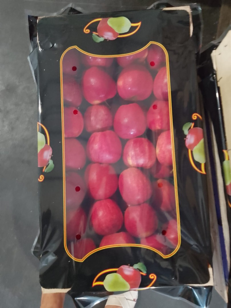 zdjecie-3