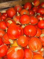 Witam. Sprzedam dynię hokkaido od 0,7-2,5 kg. Dynia ładnie wybarwiana bez odleżyn. Ilość około 4ton. Opakowanie do dogadania.