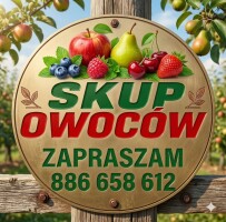 Kupimy Aronię. Cały kraj. Szybka płatność, gotówka. Zapraszam 886658612