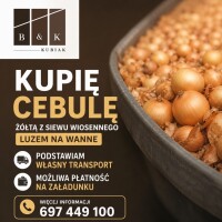 Kupię cebulę żółtą luzem prosto z pola na wanne. Posiadamy własny transport.
