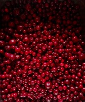 50zl kg zbierana ręcznie żurawina bagienna starannie przebrana