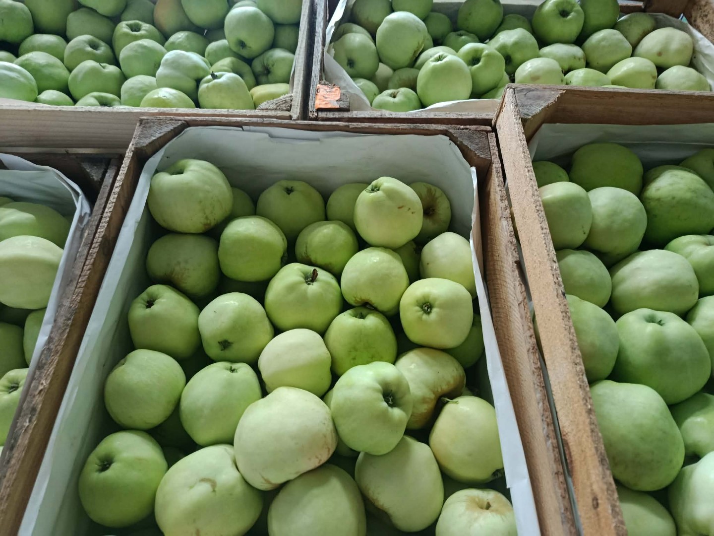 zdjecie-2