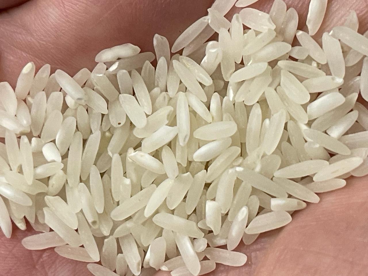 zdjecie-1