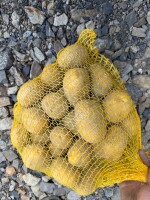 Sprzedam Soraya i red Sonia ziemniak zdrowy, możliwość pakowania w worki od 2kg-25 kg oraz big bag.  Zapraszam do kontaktu