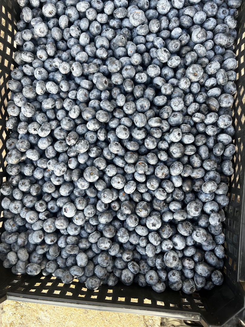 zdjecie-1