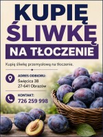 Kupię śliwkę w kisteny każdą odmianę  Dostarczamy opakowanie do klienta 
Więcej pod numerem telefonu