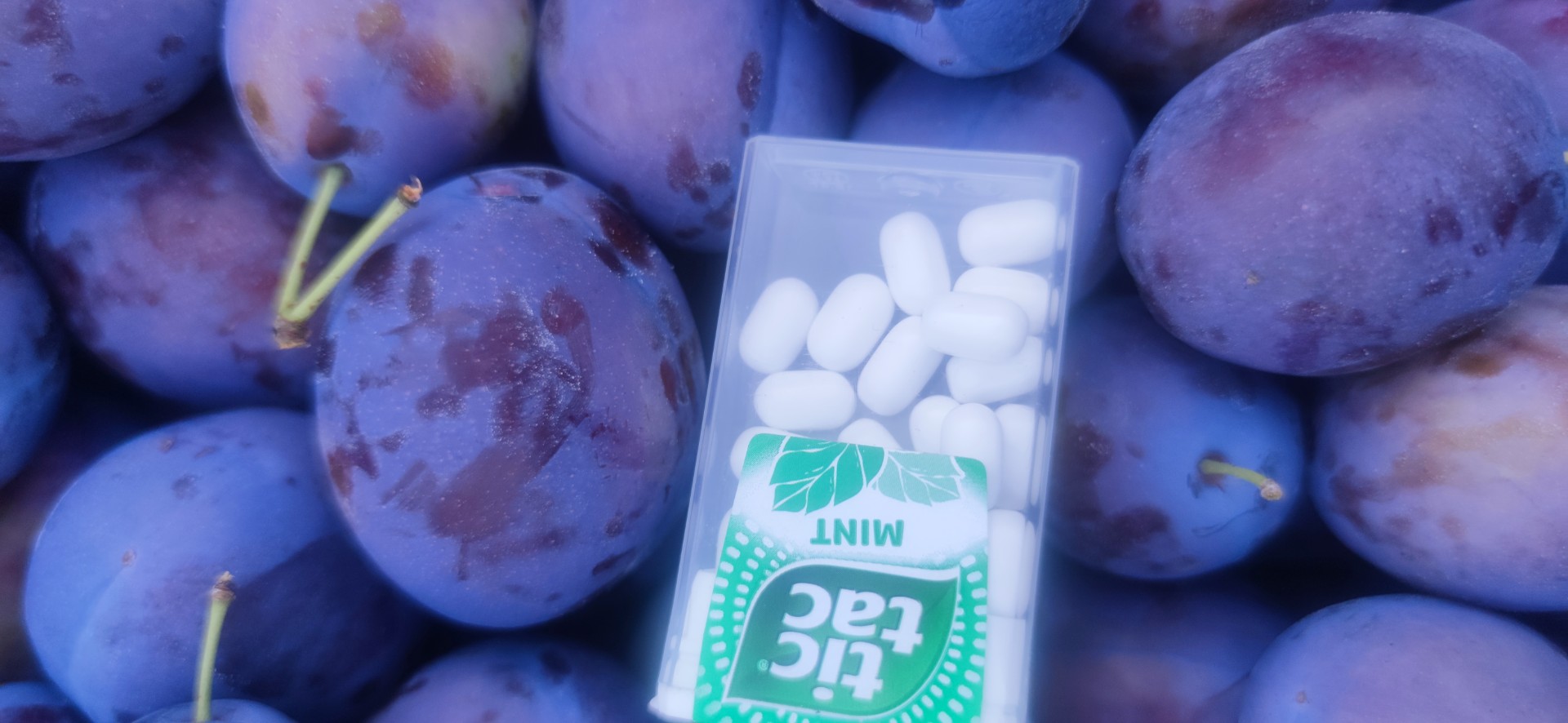 zdjecie-3