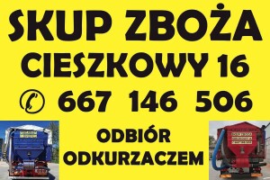Powiat Kazimierza Wielka Busko Zdrój Pińczów Proszowice. Minimum 10 ton. Odbiór odkurzaczem w cenie. Przelew na drugi dzień lub gotówka. 667146506