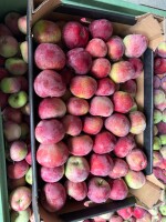 Sprzedam lobo rozsortuje w dowolnie opakowanie około 10ton