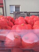 Sprzedam dynie hokkaido pięknie wybarwiona kaliber 1kg do 3kg