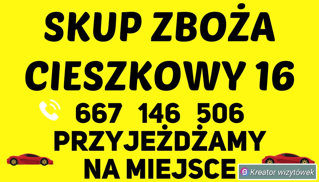 zdjecie-1