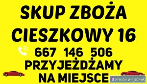 Powiat Kazimierza Busko Zdrój Pińczów Proszowice. Minimum 10 ton. Odbiór odkurzaczem w cenie. Przelew na drugi dzień lub gotówka. 667146506