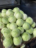 Sprzedam kapustę odmiana passat. Ilość około 3 tony. Główki o masie od 2 do 5 kg.