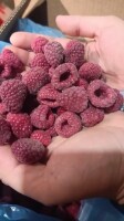 Charakteryzuje się gęstą pestką, wyraźnym aromatem oraz zbalansowanym smakiem (umiarkowanie słodki z delikatną kwasowością). 
Technologia IQF: każdy o