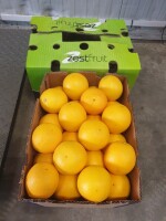 Dostępna świerza dostawa Pomarańczy z RPA. Zrywane i ładowane koniec czerwca.  
rozmiary
56 82-88mm 12plt
48 88-92mm 6plt
40 92-96mm 1 plt