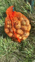 Sprzedam ok 4 tony ziemniaków prosto z pola. Odbiór własny. Cena 0.70 kg . Ziemniaki duże, ładne zdrowe, bez oprysku i nawozu. Polecam