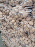 Sprzedam ziemniaki jadalne Bielik prawie to samo co Irga bardzo smaczne białe sortowane na palety po 72 worki   cena 12 zł za  worek 15 kg   więcej in