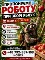 Przyjmę do pracy przy zrywaniu jabłek. Praca od zaraz.