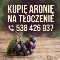 Kupię ARONIĘ w kisten na tłoczenie, z dostawą do Tomaszowa Lubelskiego. Konwencja, eko.