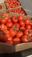 Rumuńska firma CIOCAN VEGETABLES GROUP SRL, z wieloletnim doświadczeniem na rynku, oferuje pomidory i inne warzywa z czasem dostawy 2-3 dni, oferujemy