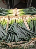 Kupie por pakowany w łuszczke po 10kg. 6 palet x 650 kg. Załadunek wieczór 02.09
