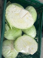 Witam sprzedam kapustę płaską-golabkowa Green lunar na przemysł 1-4 kg surówki