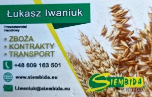 Firma PHUT Siembida Marek zakupi cało samochodowe ilości pszenicy,  pszenżyta, jęczmienia,  owsa, rzepaku, kukurydzy suchej i mokrej