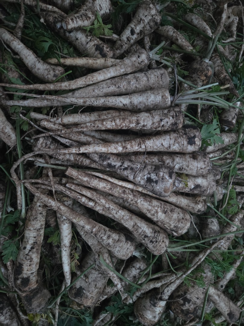 zdjecie-1