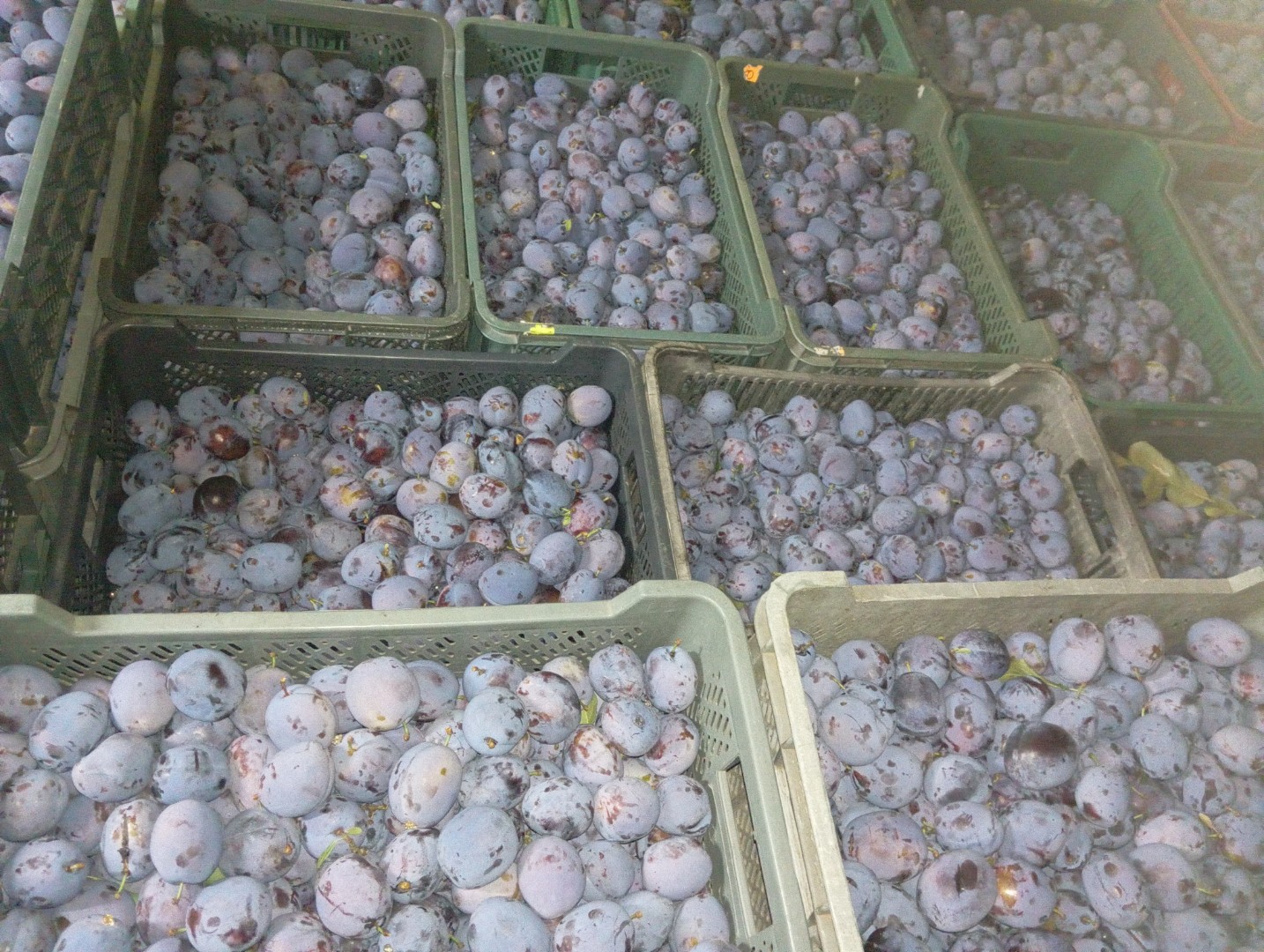 zdjecie-2