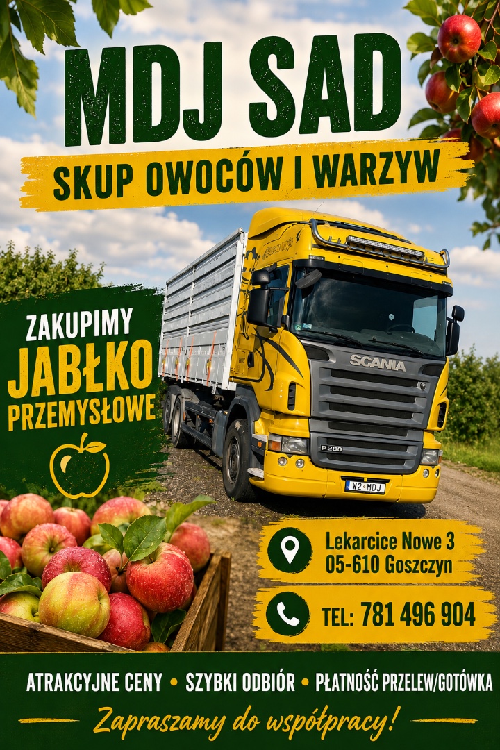 zdjecie-1