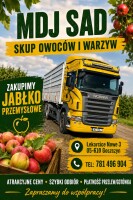 Kupię jabłko przemysłowe.  Szybka płatność. Tel 781496904