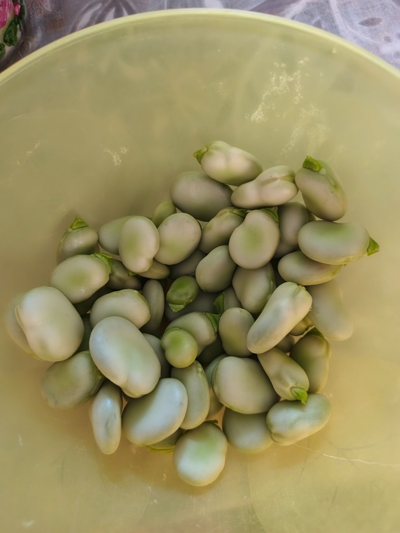 zdjecie-1