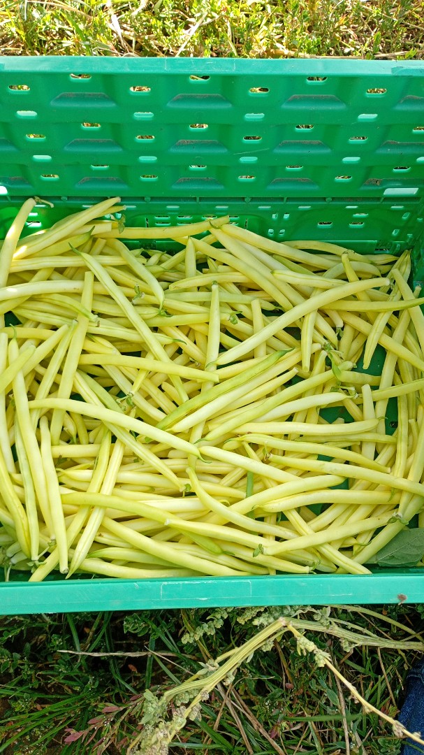 zdjecie-1
