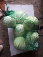 Sprzedam kapustę białą waga od 1kg do 3,5kg We workach po 20kg
Cena 0,80zl/kg do negocjacji 
Ilości busowe po 2tony Możliwość transportu