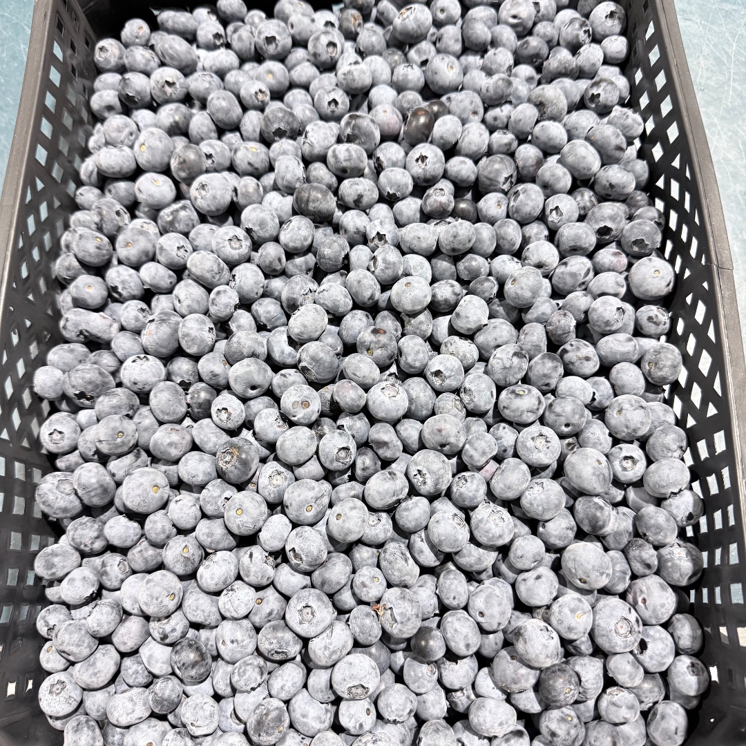 zdjecie-1