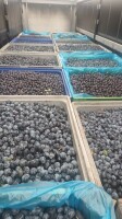 Kupię dojrzałe śliwki w skrzyniopaletach z przeznaczeniem na alkohol.  Odbieram własnym transportem, płatne gotówką przy odbiorze. 
Interesuje mnie na