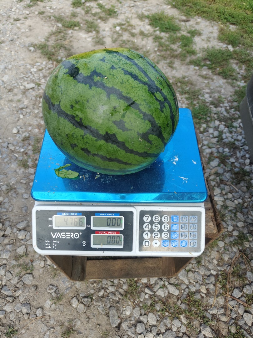 zdjecie-4