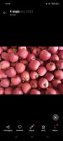Sprzedam galę schniga Red  ładny kolor gruby kaliber
