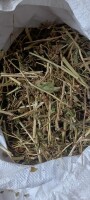 Sprzedam ziele gryki frakcja 5-7 cm pakowana w worki po 10 kg