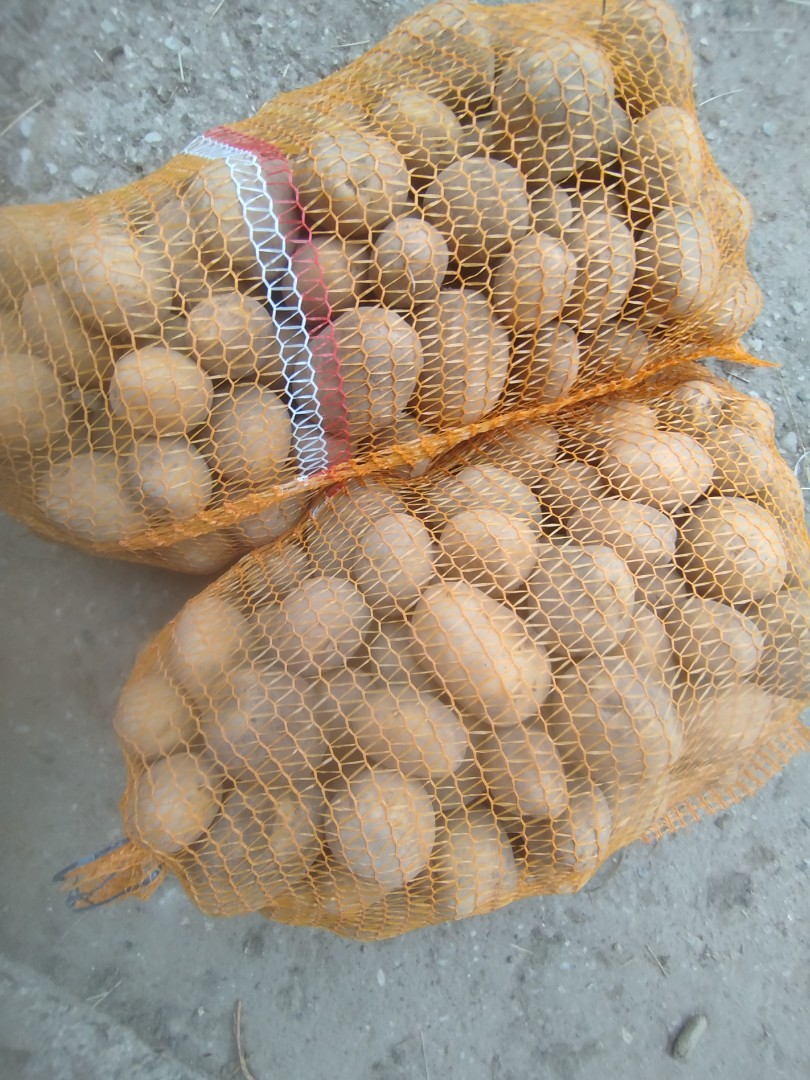 zdjecie-1