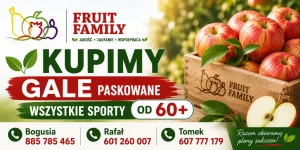 Kupimy Gale Paskowane wszystkie sporty od 60+