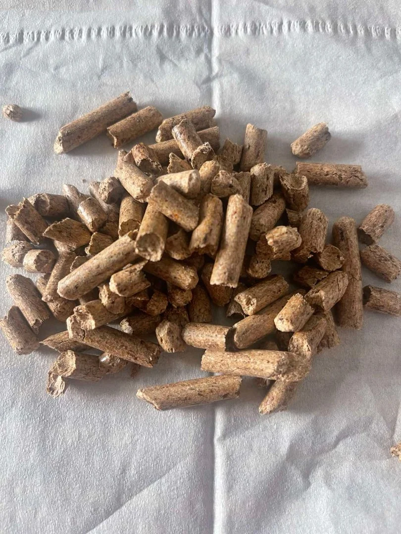 zdjecie-1