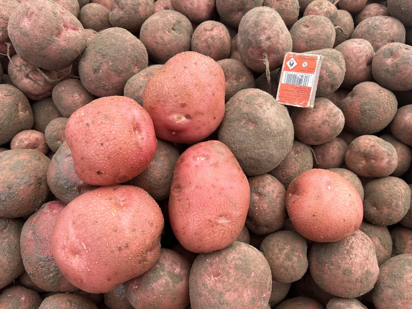 zdjecie-1