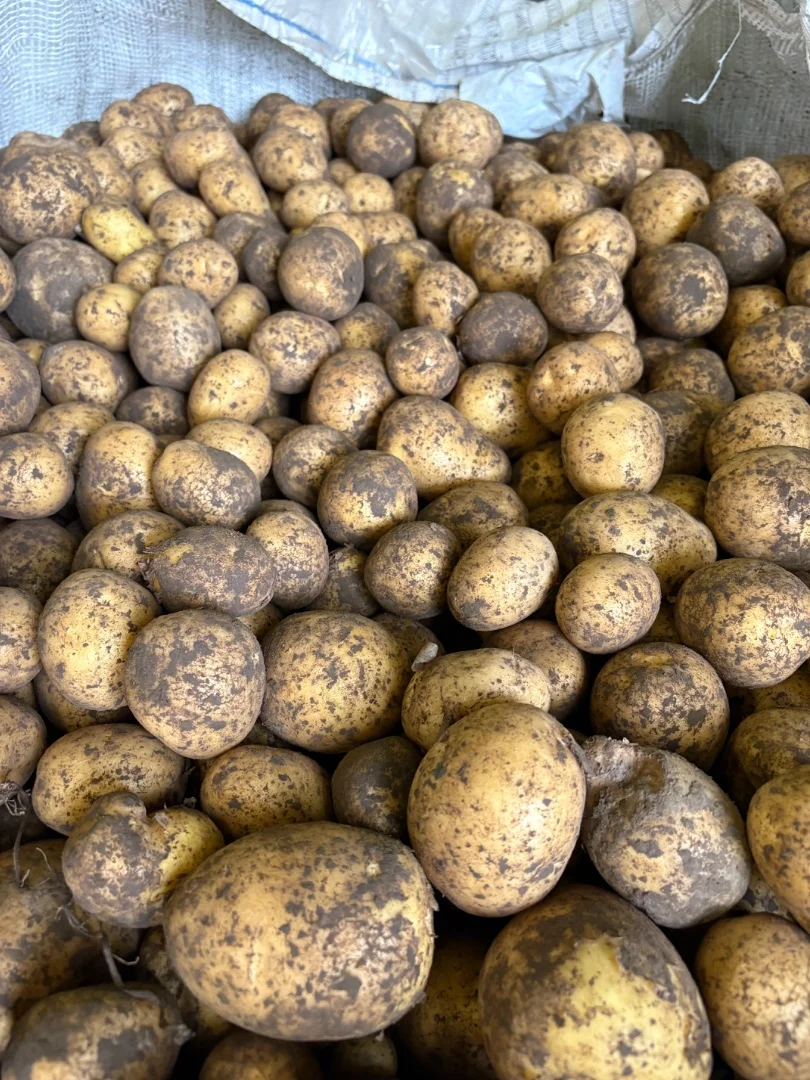zdjecie-2