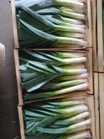 Sprzedam pora w łuszczkach po 10 kg.