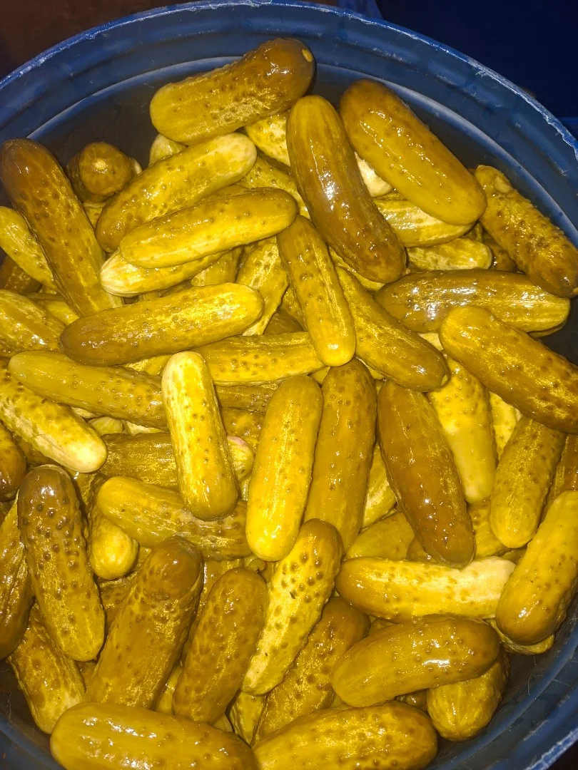 zdjecie-1
