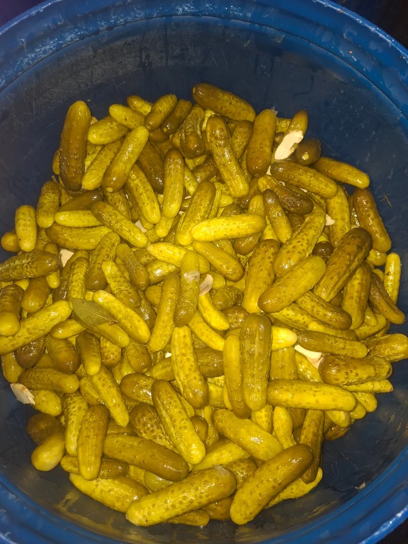 zdjecie-2