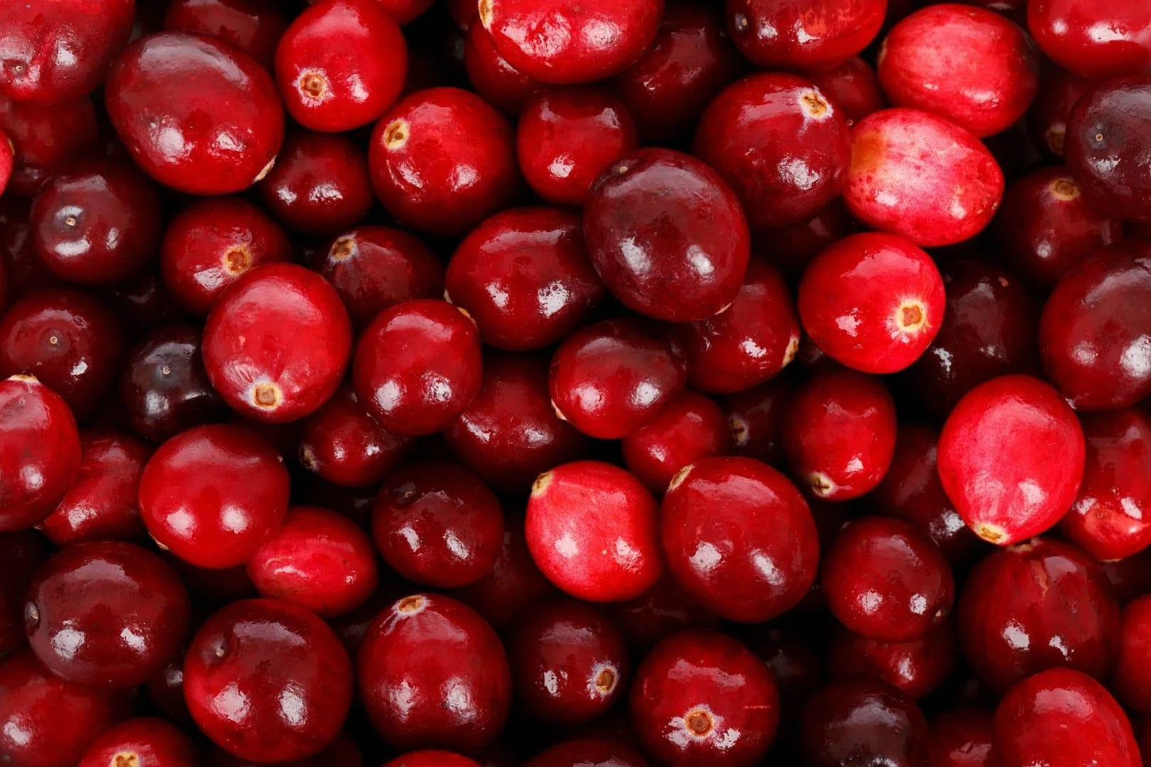zdjecie-1
