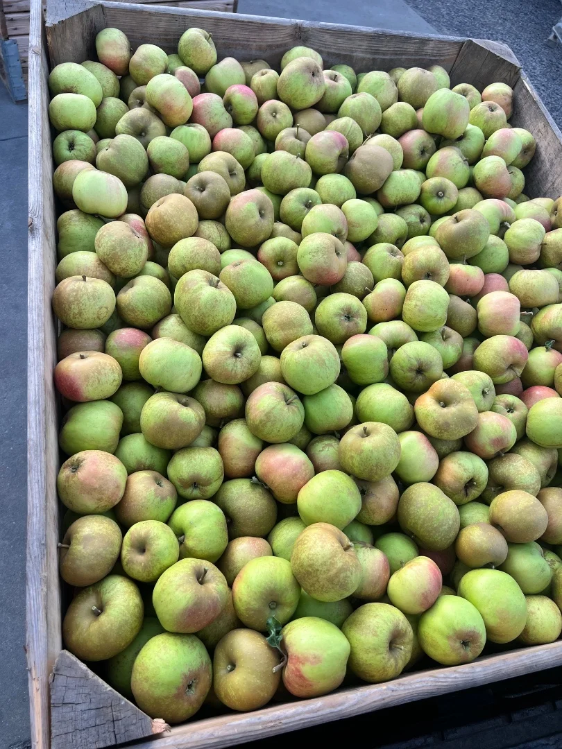 zdjecie-5