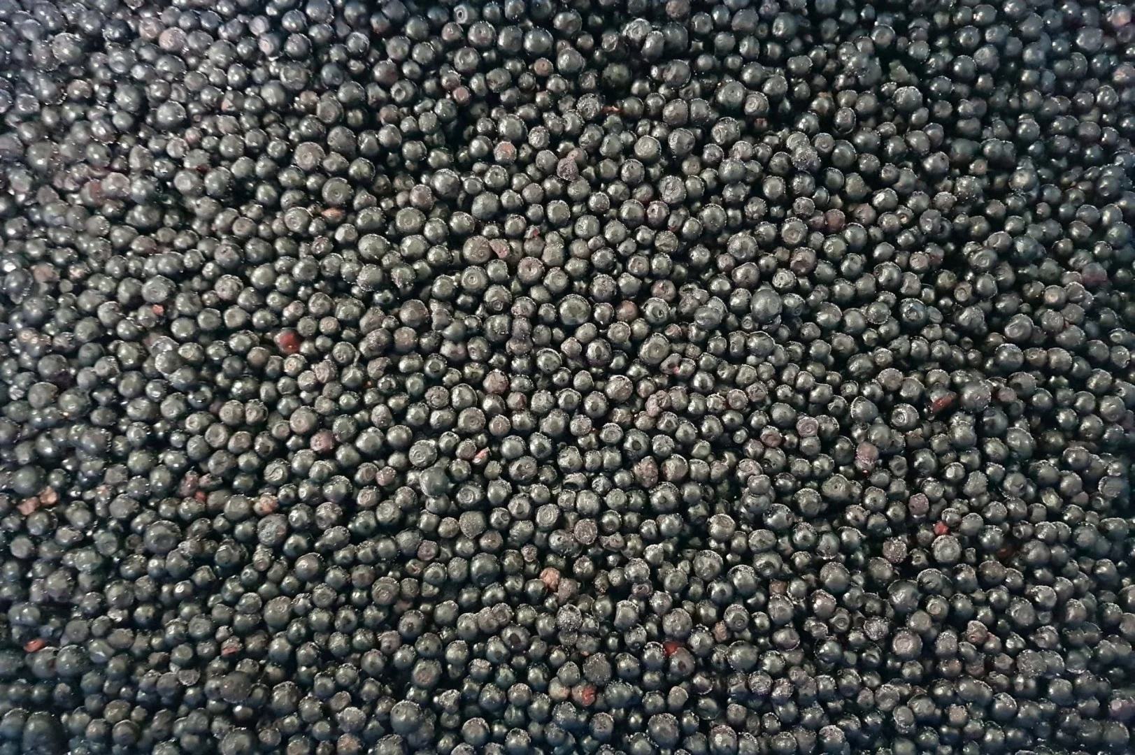 zdjecie-2
